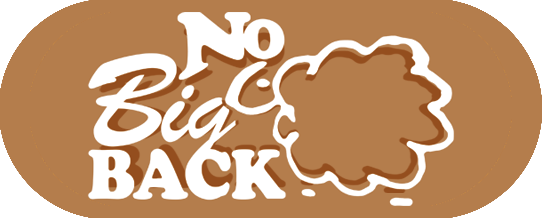 item 10_no big back